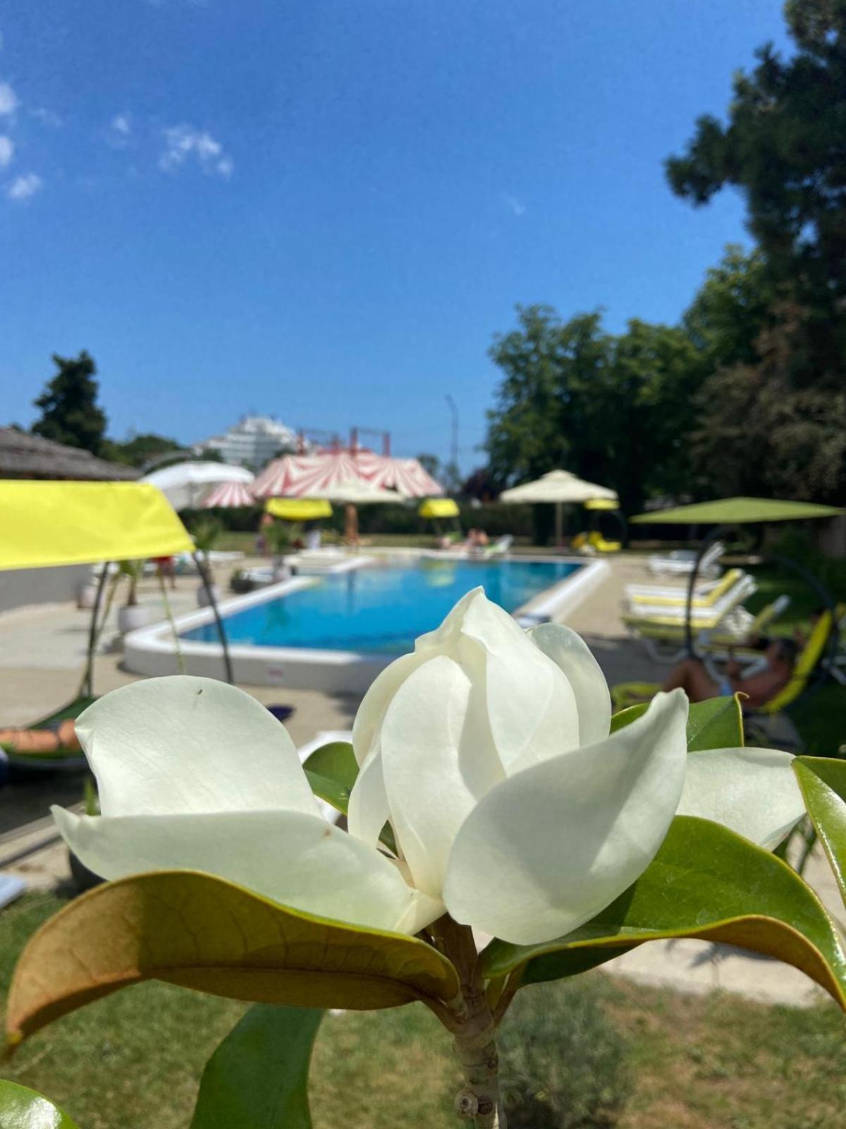 Hotel Iulia Resort Venus Exterior foto